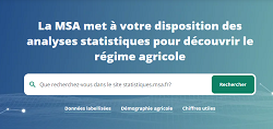 statistiques